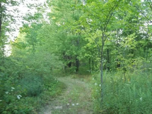 Investment Opportunity, 33.936 Ac property photo 1