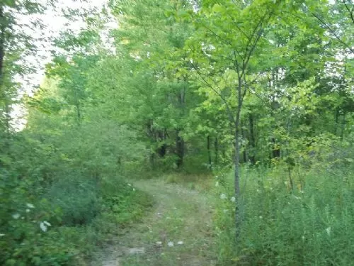 Investment Opportunity, 33.936 Ac