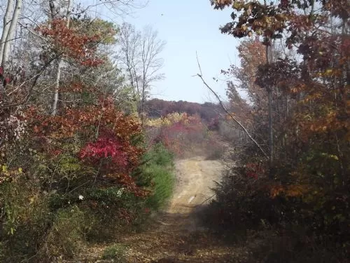 55 Acres Only $64,900