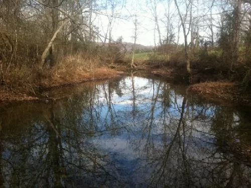 51 Ac Awesome Creek and Pasture
