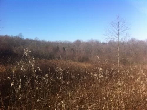 Beautifully Wooded 12.5 Acres property photo 1