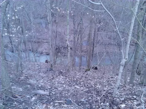 3.7 Acres Near Thornville,ohio