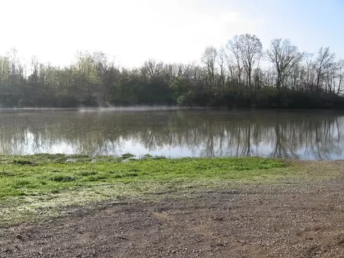 4 Ac 1/2 Open 1/2 Woods with Creek