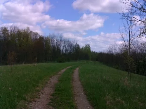 72 Acres Not Too Far From Columbus property photo 1