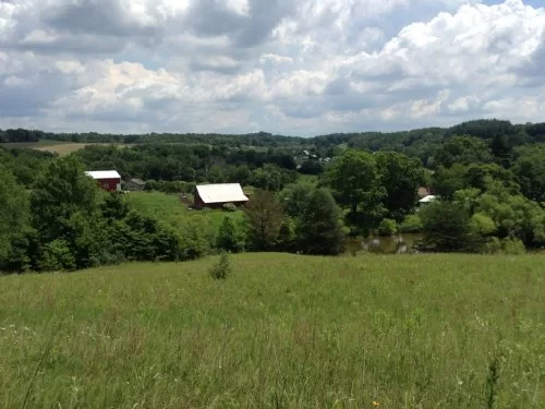 Goat Run property photo 1