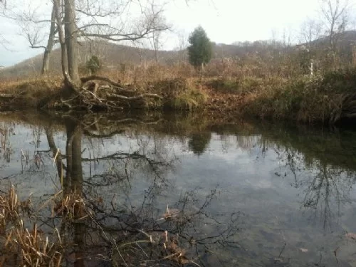 14.5 Acres On Dunlap Creek property photo 1