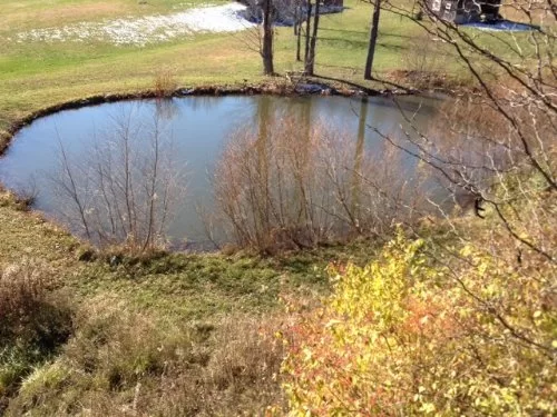 Jester Hill property photo 1