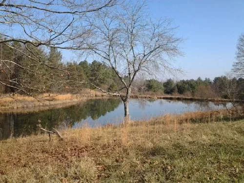 Baker Pond property photo 1