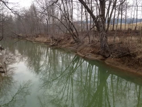 Big Fish property photo 1