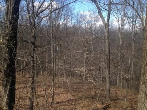 6.3 Ac Touch Wayne National Forest property photo 1