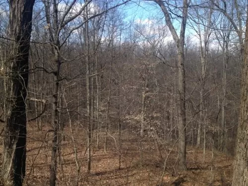 6.3 Ac Touch Wayne National Forest