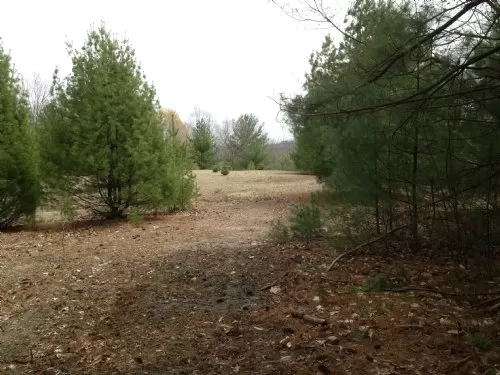 8 Acres On Perry State Forest