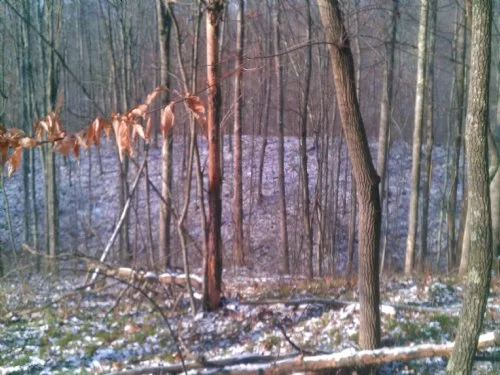 16 Acres 1/2 Woods and 1/2 Meadow property photo 1