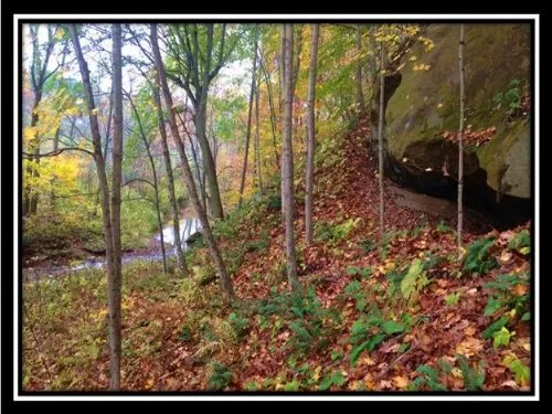 Bob White Farm Hot Deer Location property photo 1