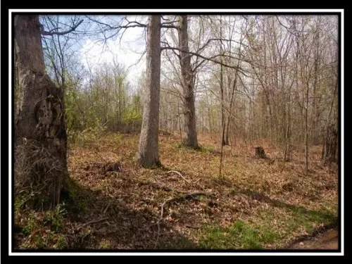 9+ Acre Mini Farm Land