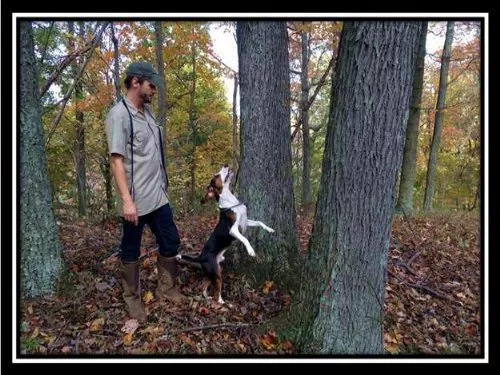 57 Acres Of Marketable Timber property photo 1