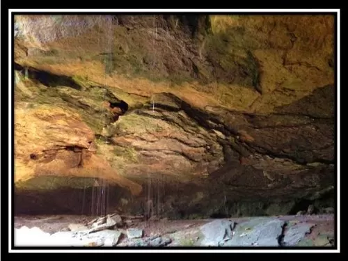 26.9 Acres On Wayne National Forest