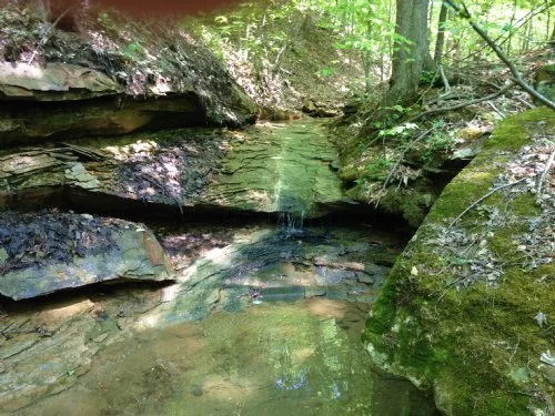 20 Acres property photo 1