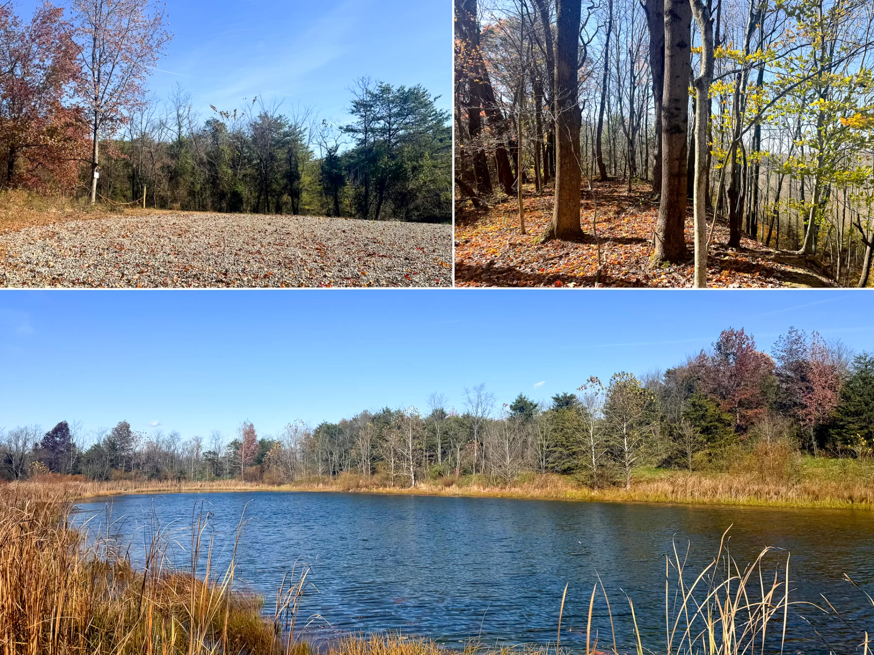 The Ponds at Poplar Ridge – Tract 5 property photo 1