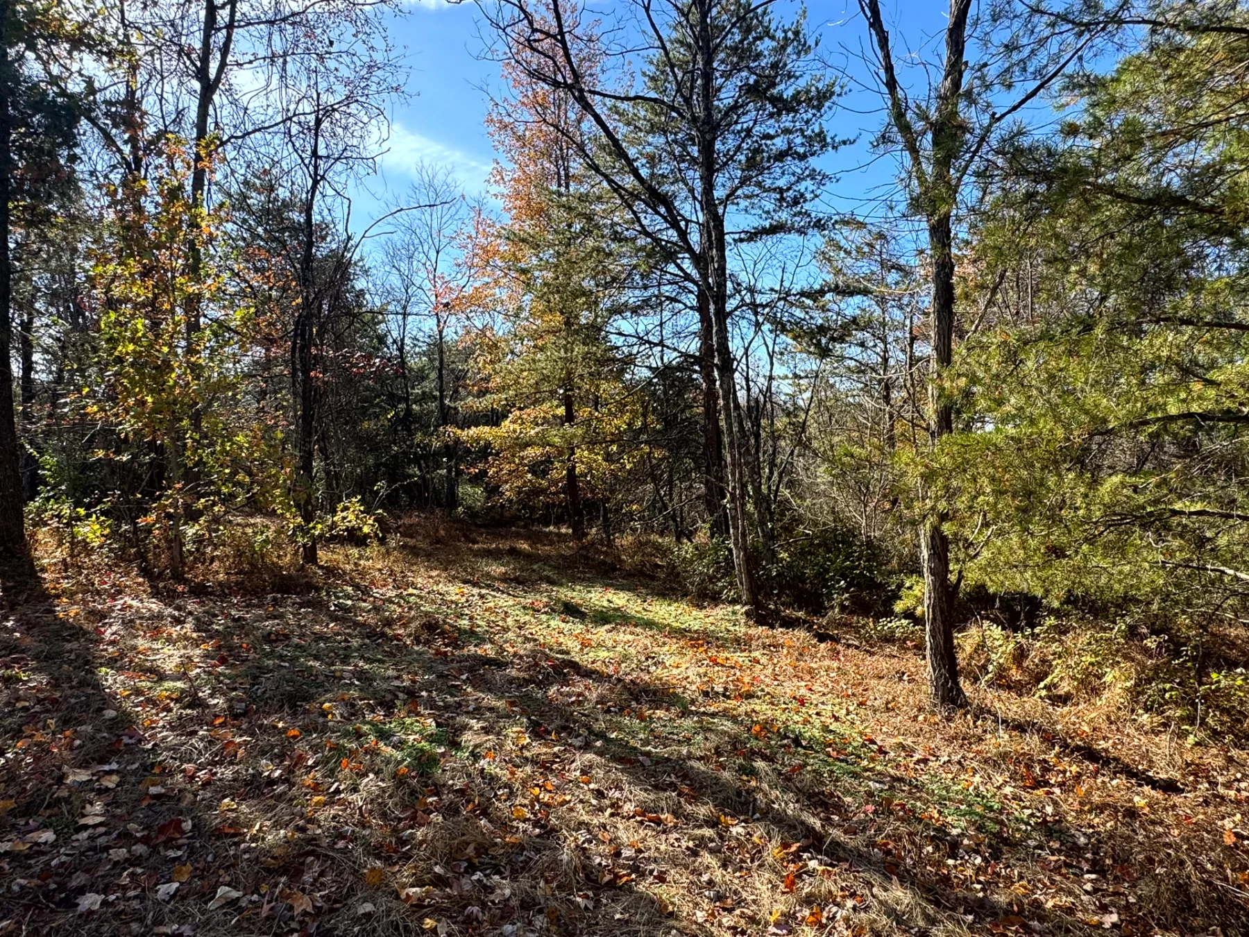 The Ponds at Poplar Ridge – Tract 5 property photo 4