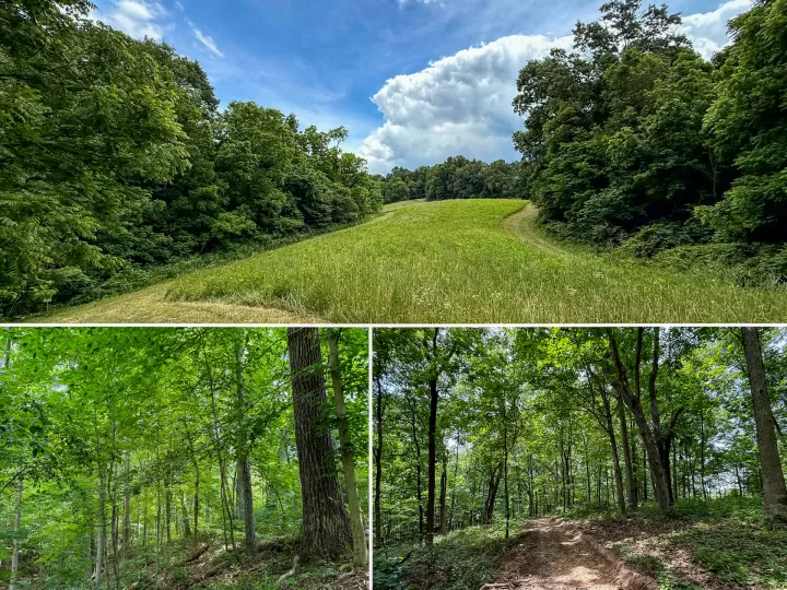 Tract 5 at Jackson Oaks