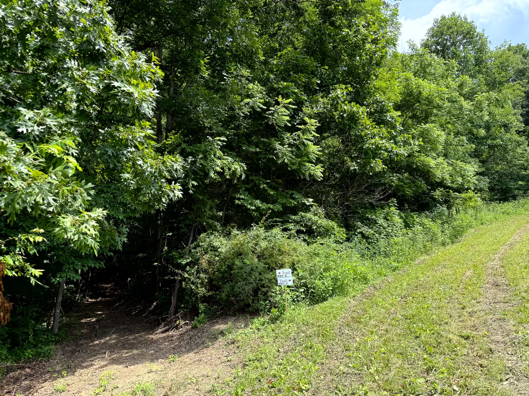 Tract 8 at Jackson Oaks property photo 4