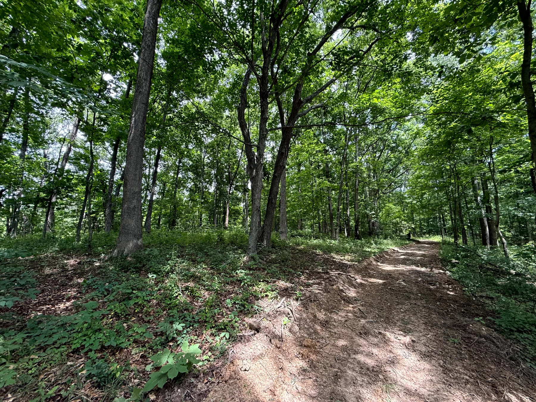 Tract 8 at Jackson Oaks property photo 5