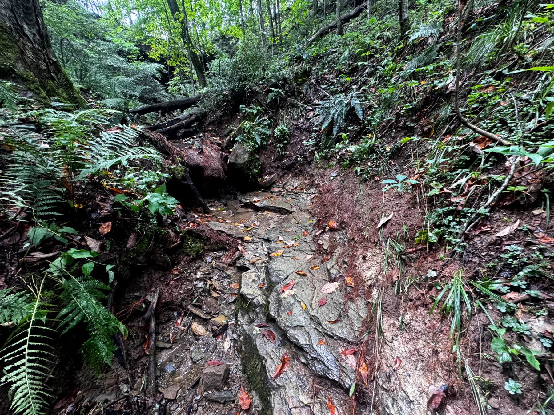 Tract 5 - Millstone Caves property photo 9