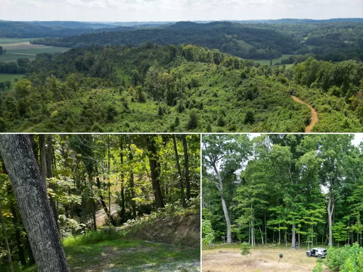 Tract 1 – Elkins Creek Rd