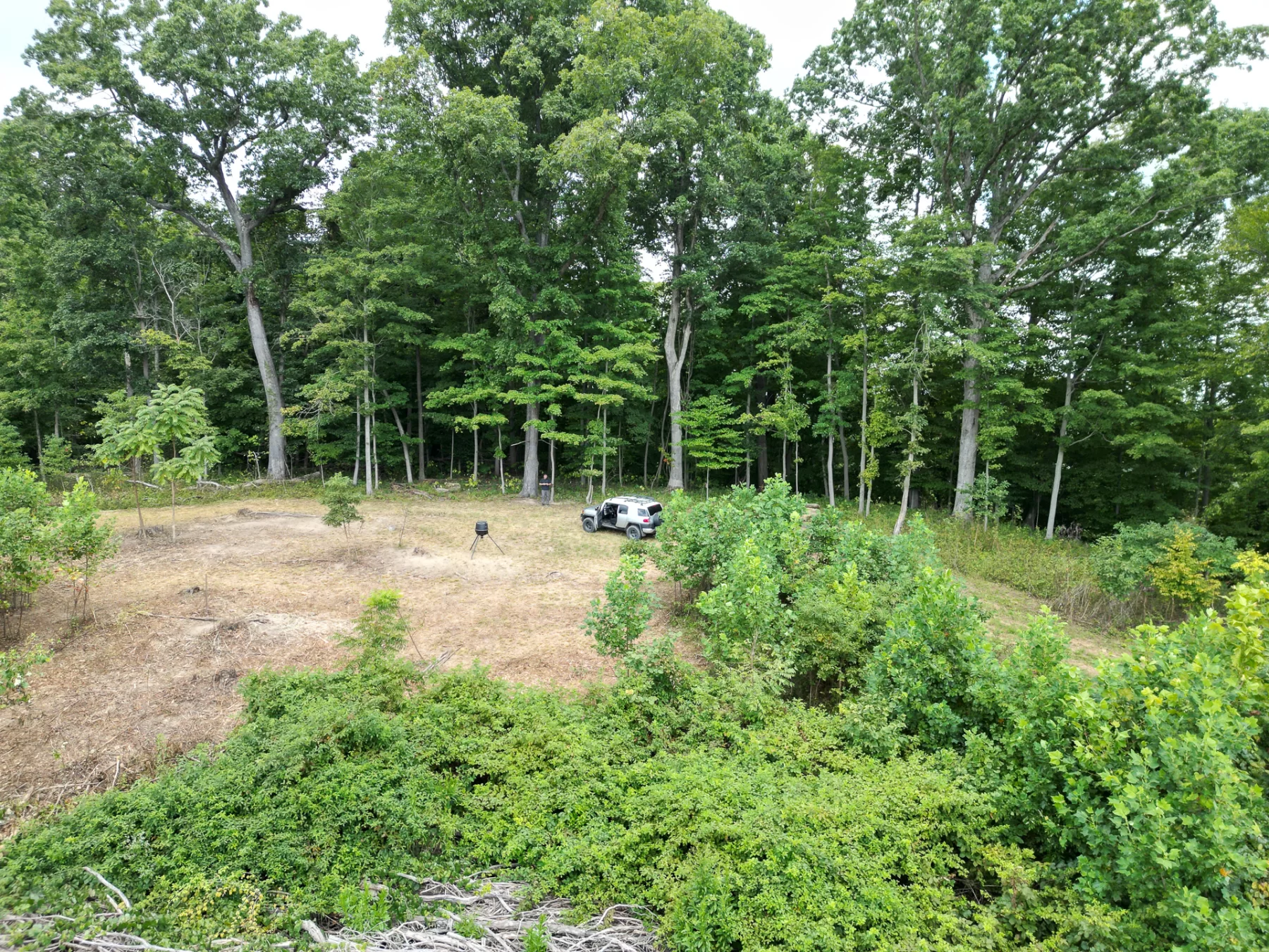 Tract 1 – Elkins Creek Rd property photo 8