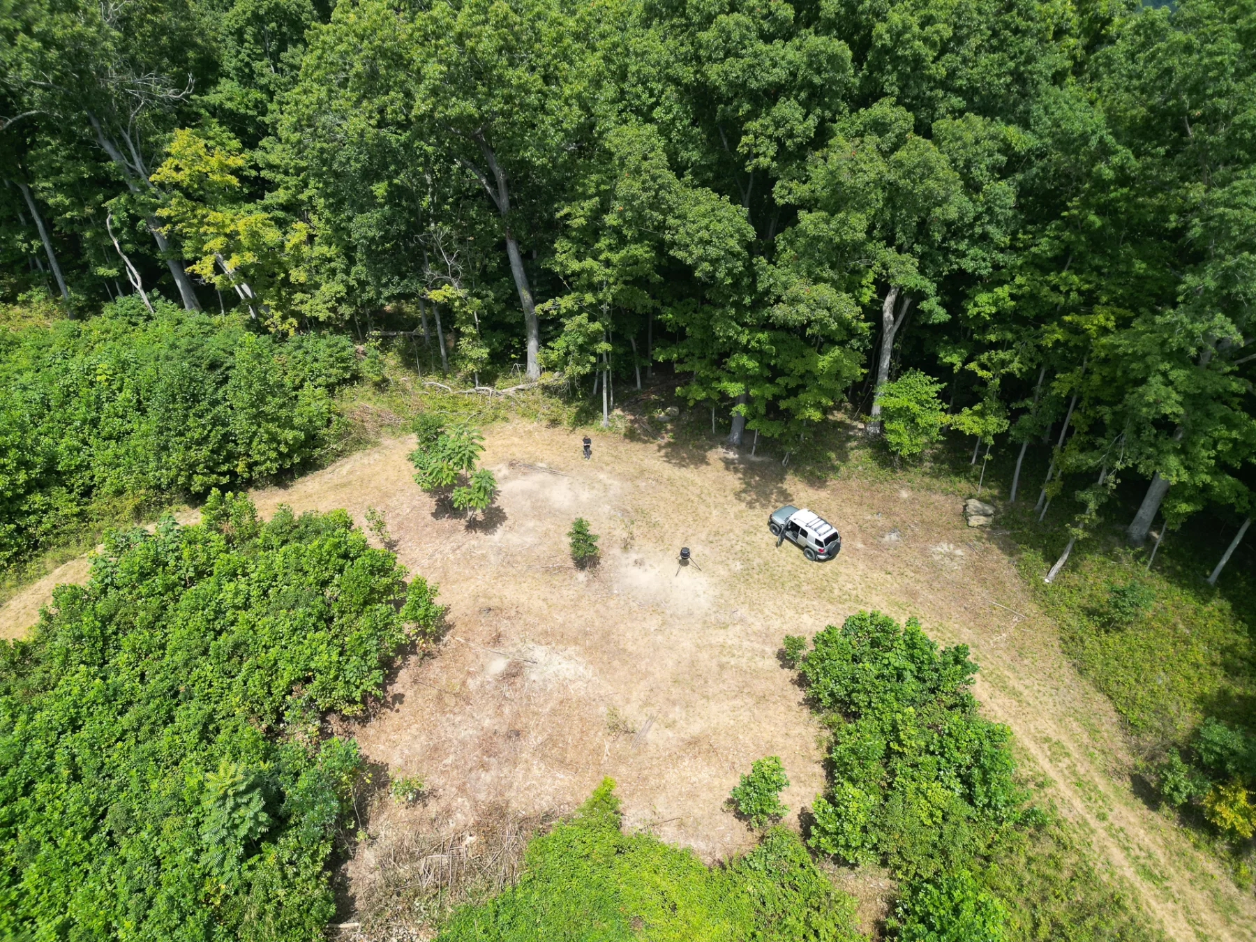 Tract 1 – Elkins Creek Rd property photo 12