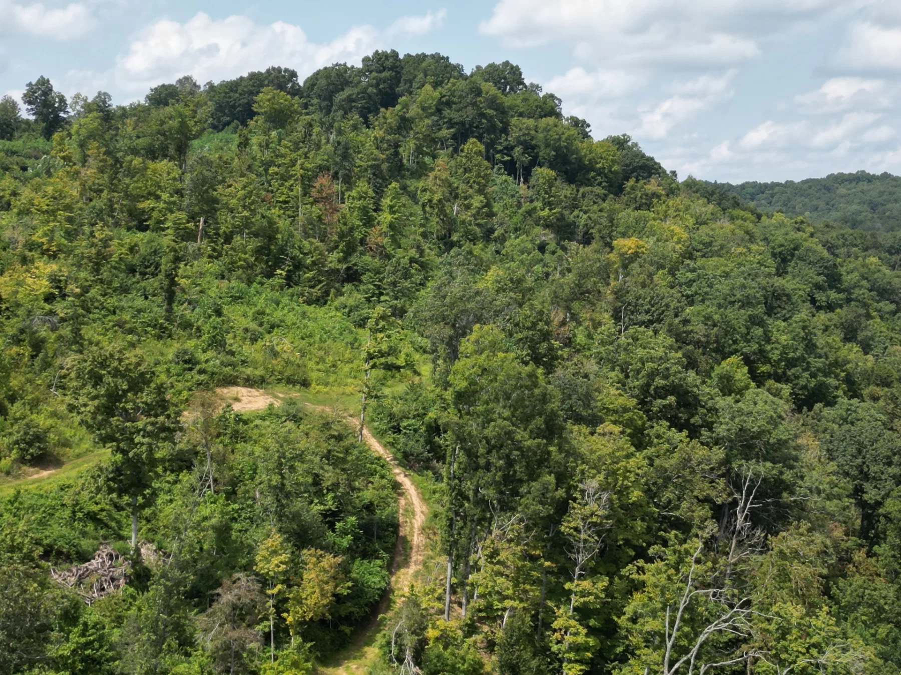 Tract 1 – Elkins Creek Rd property photo 16