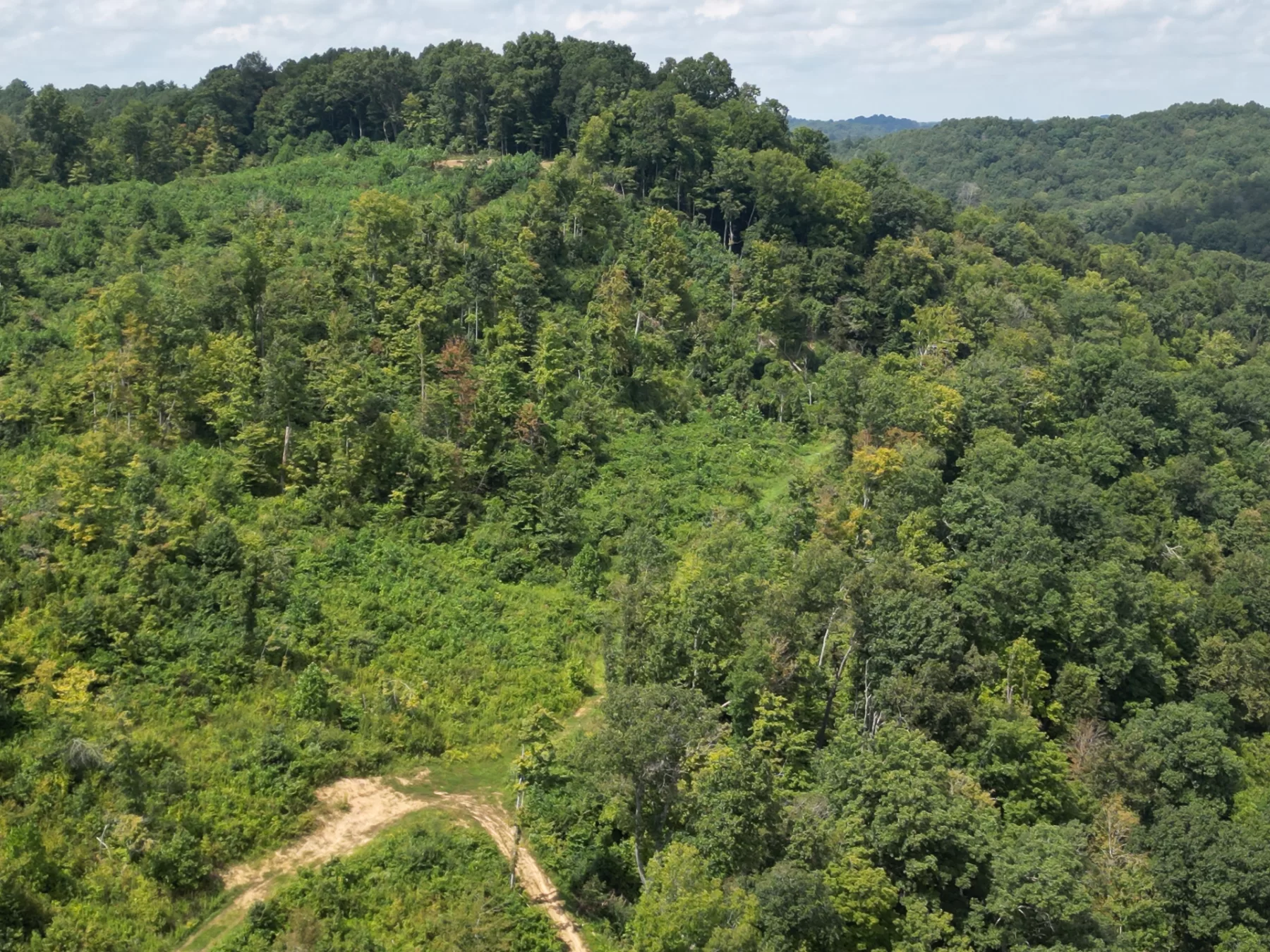 Tract 1 – Elkins Creek Rd property photo 18