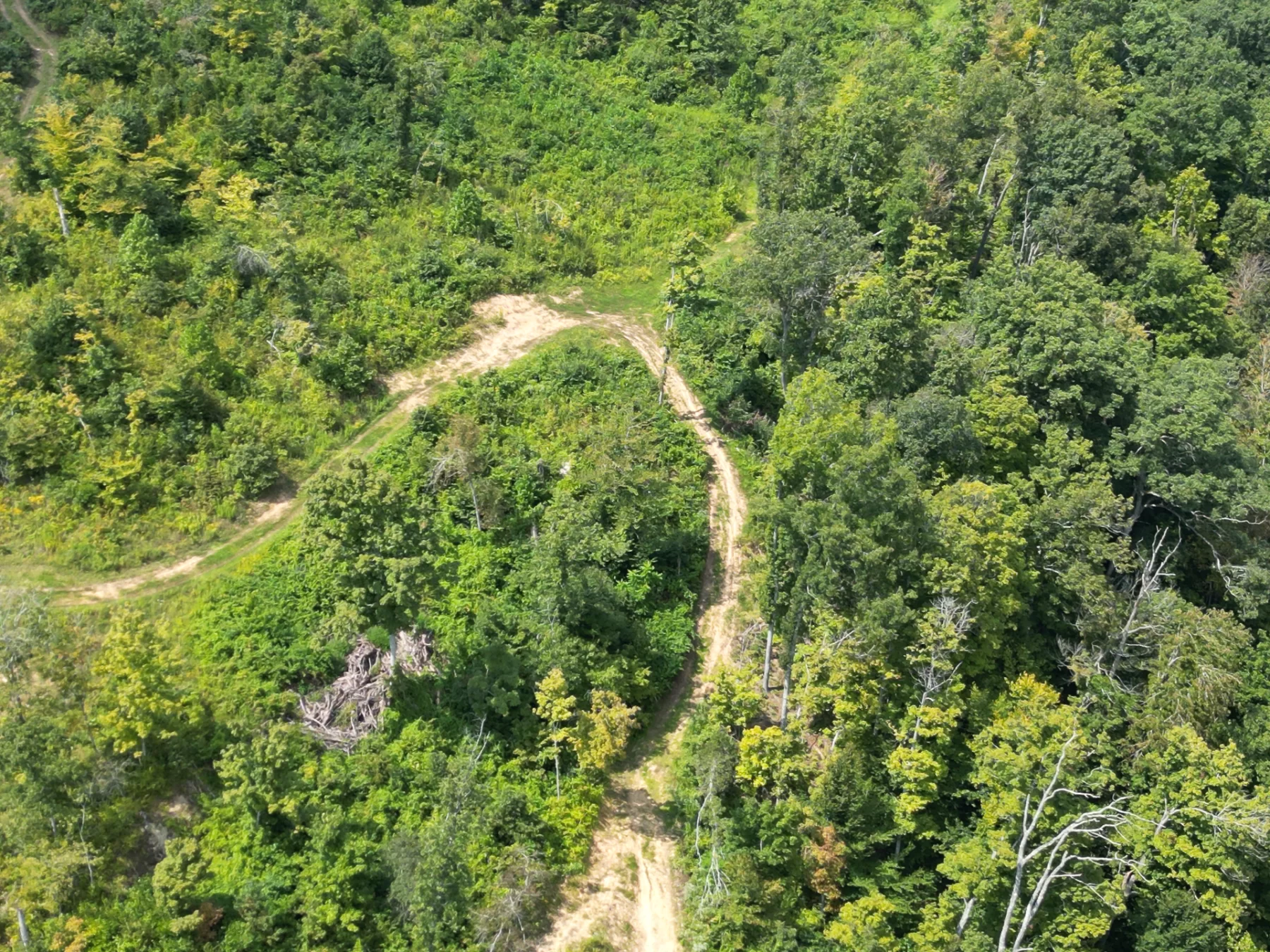 Tract 1 – Elkins Creek Rd property photo 19
