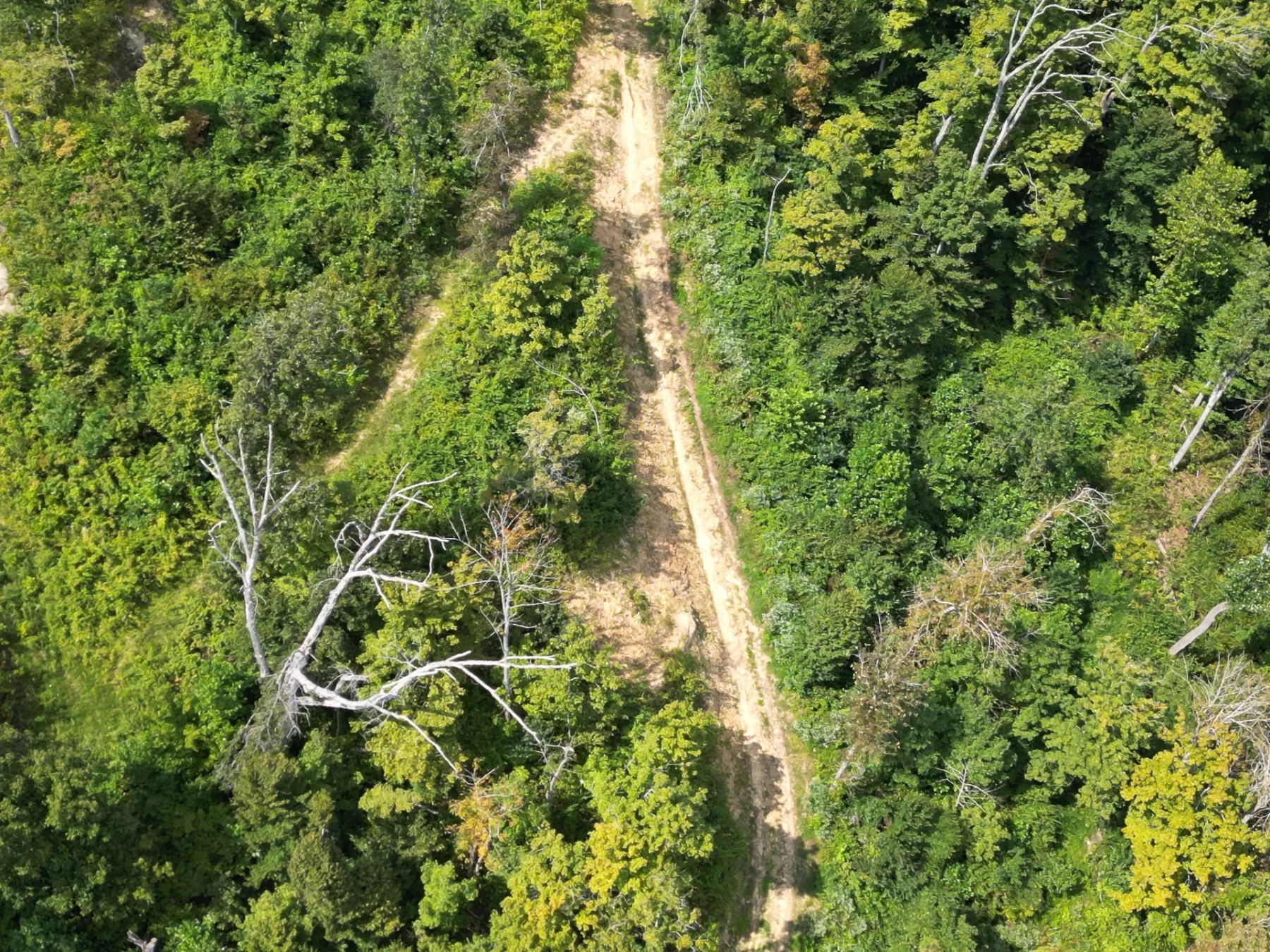 Tract 1 – Elkins Creek Rd property photo 20