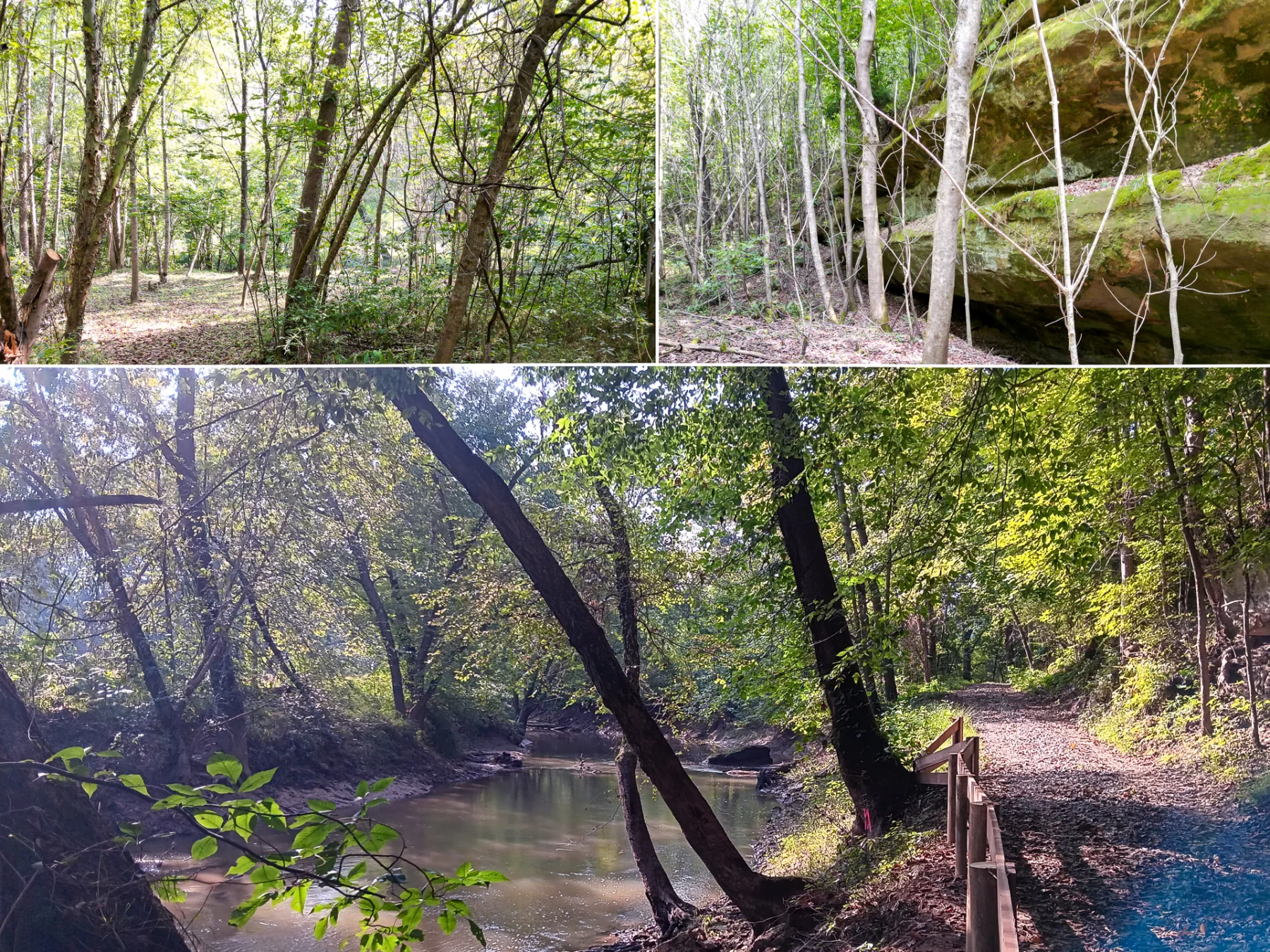Wooded Retreat on Raccoon Creek property photo 1