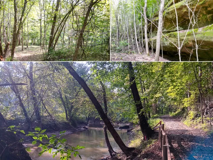 Wooded Retreat on Raccoon Creek