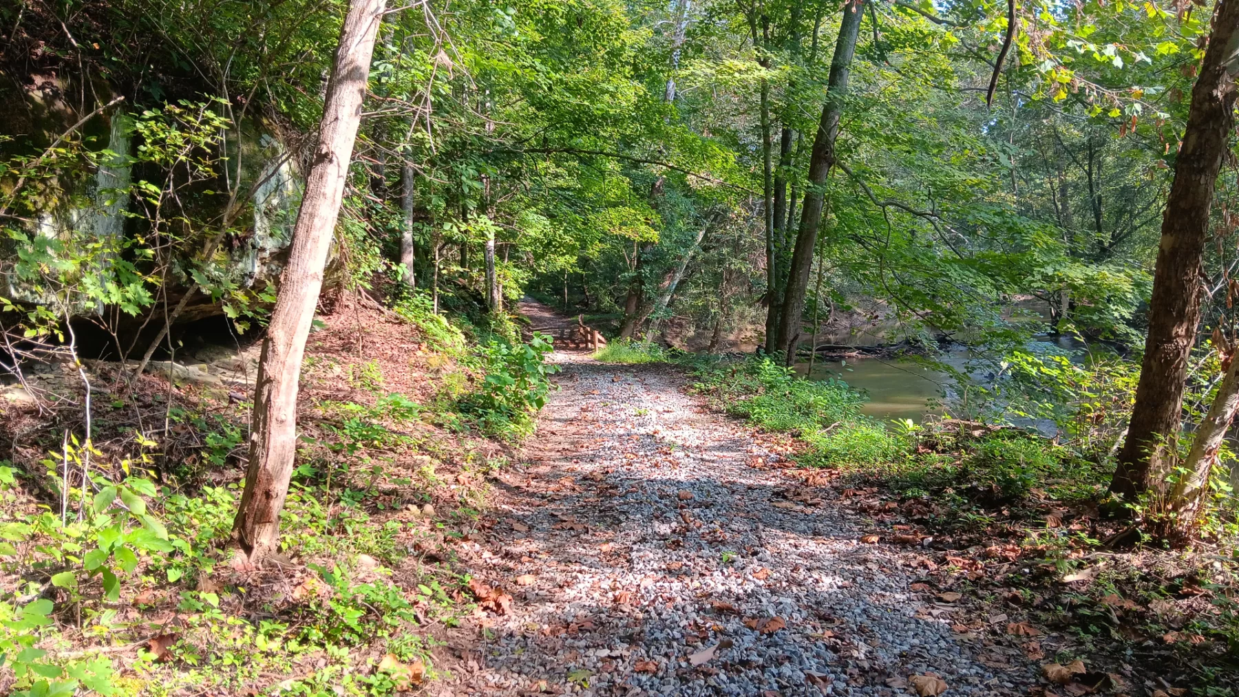 Wooded Retreat on Raccoon Creek property photo 6