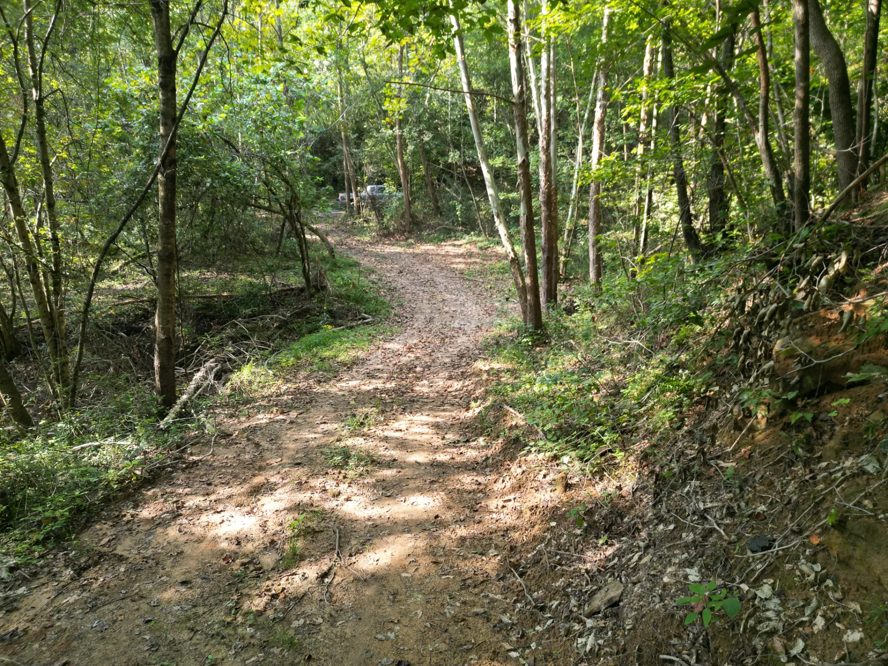 Wooded Retreat on Raccoon Creek property photo 8