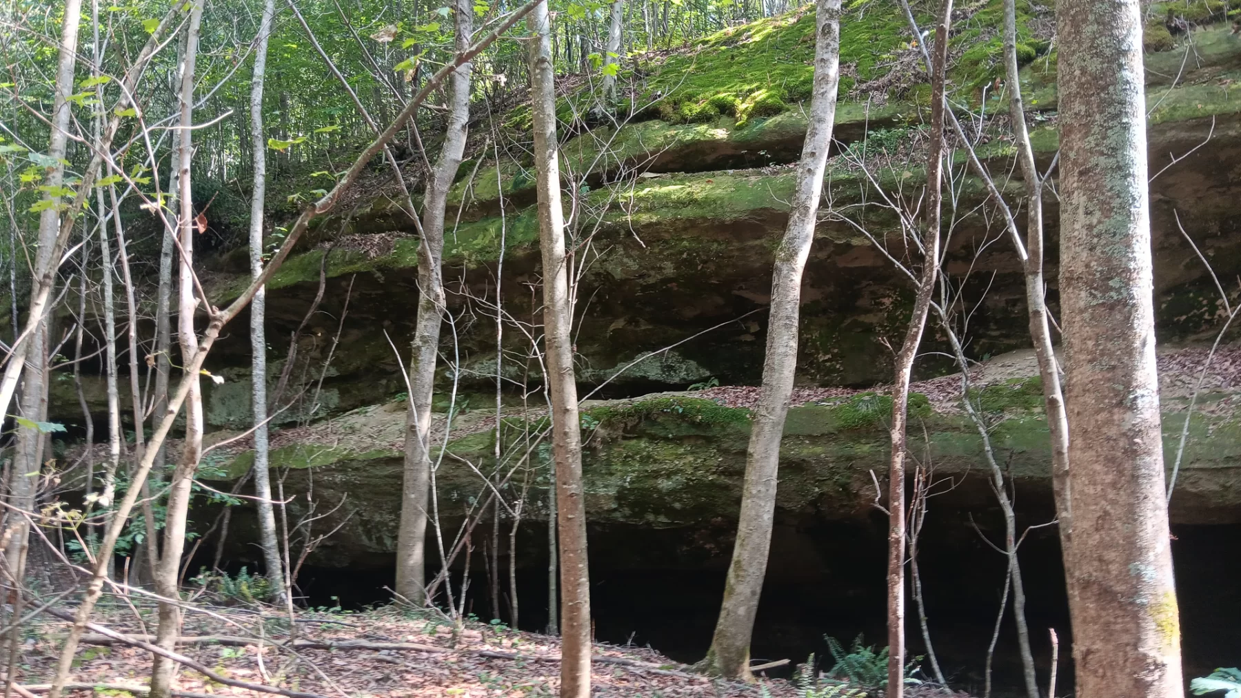 Wooded Retreat on Raccoon Creek property photo 10