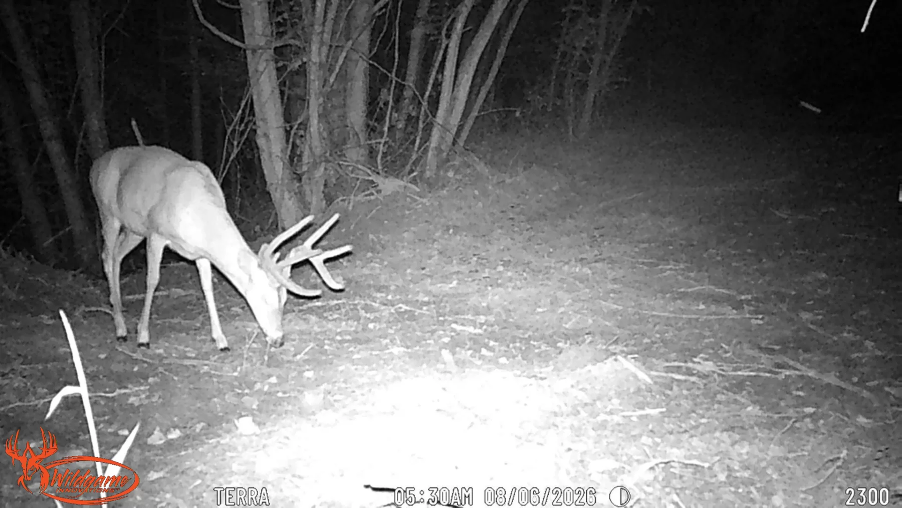 Wooded Retreat on Raccoon Creek property photo 16