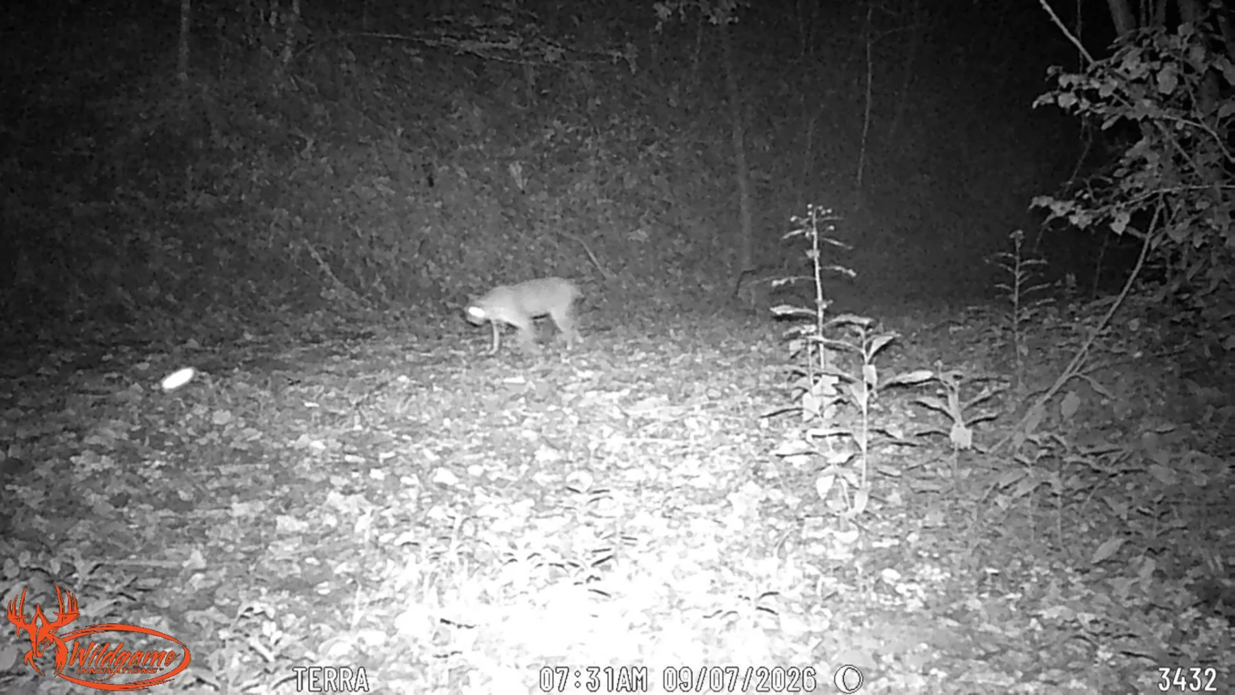 Wooded Retreat on Raccoon Creek property photo 19