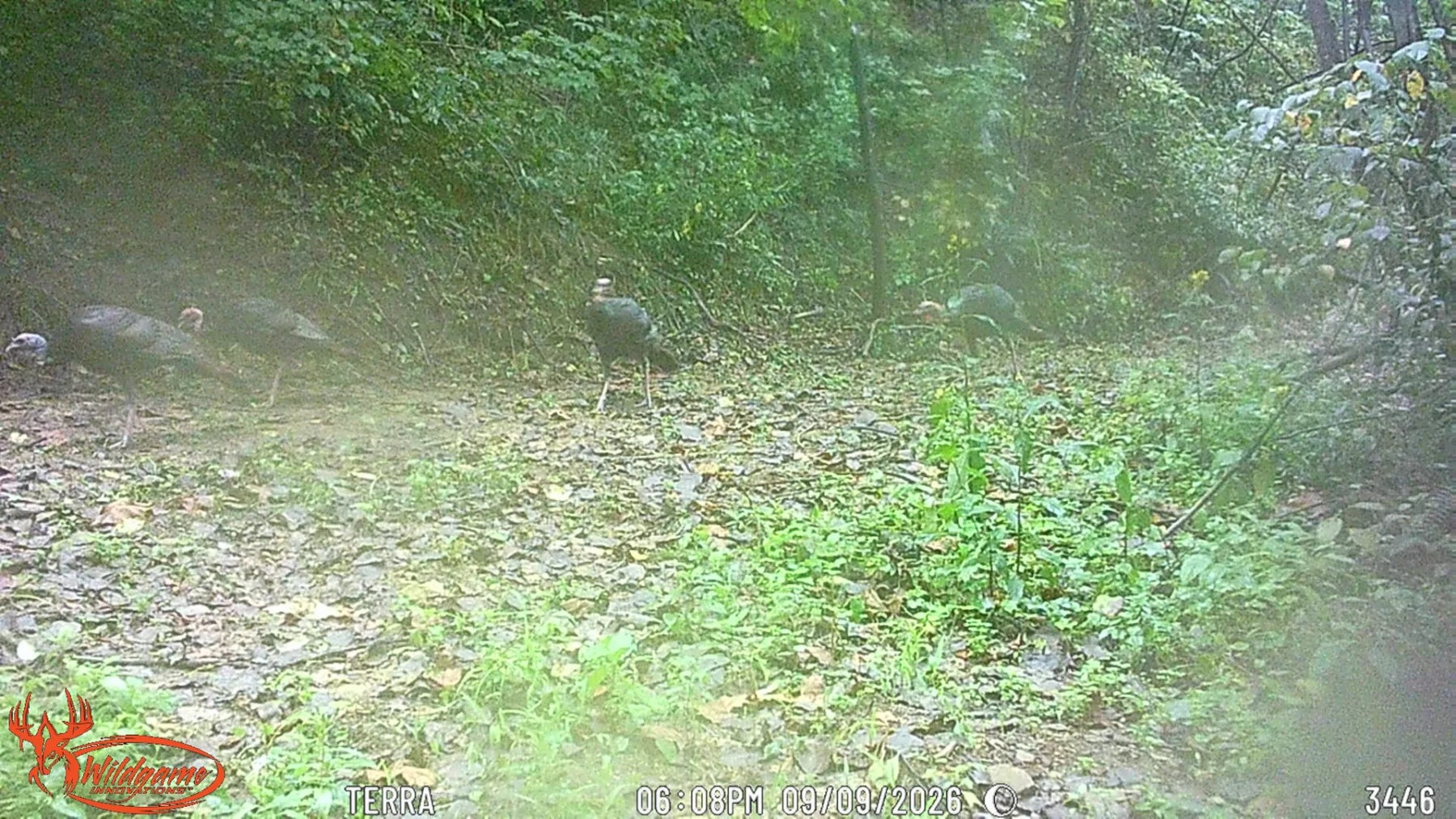 Wooded Retreat on Raccoon Creek property photo 20