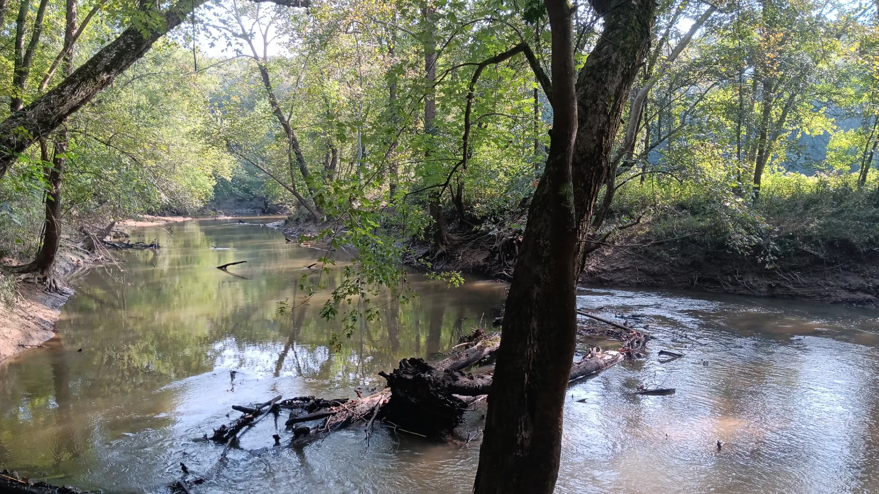 Wooded Retreat on Raccoon Creek property photo 21