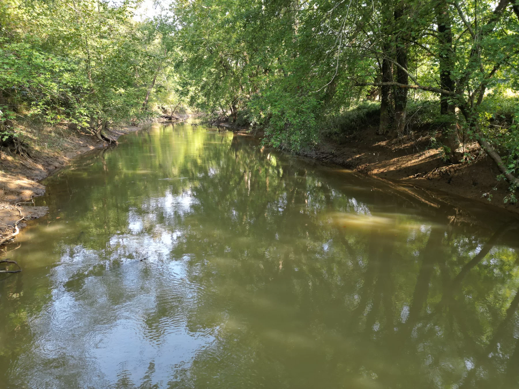 Wooded Retreat on Raccoon Creek property photo 22