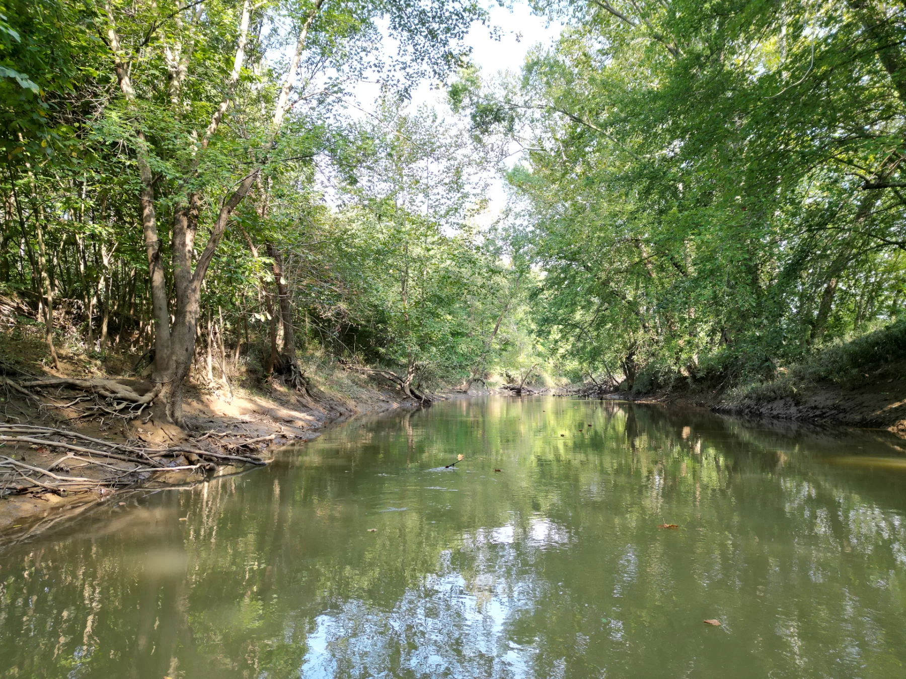 Wooded Retreat on Raccoon Creek property photo 23
