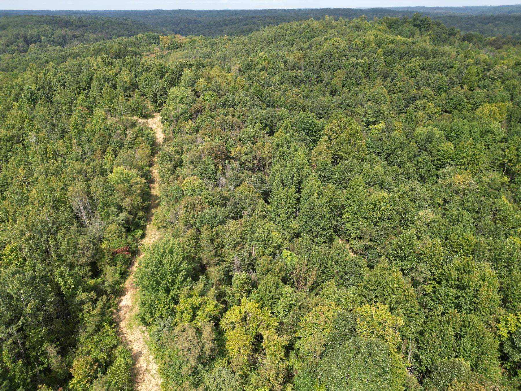 Wooded Retreat on Raccoon Creek property photo 25