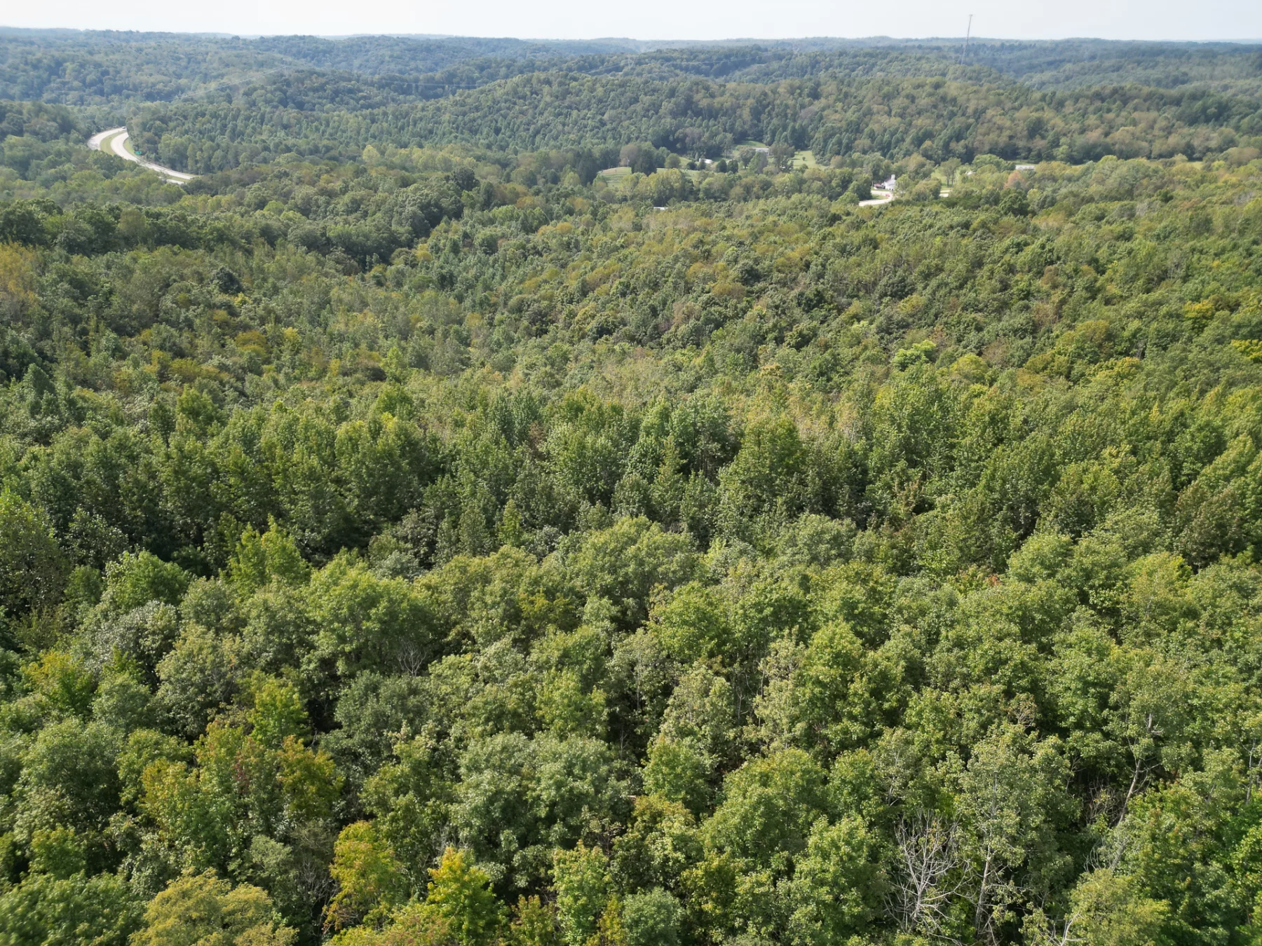 Wooded Retreat on Raccoon Creek property photo 26