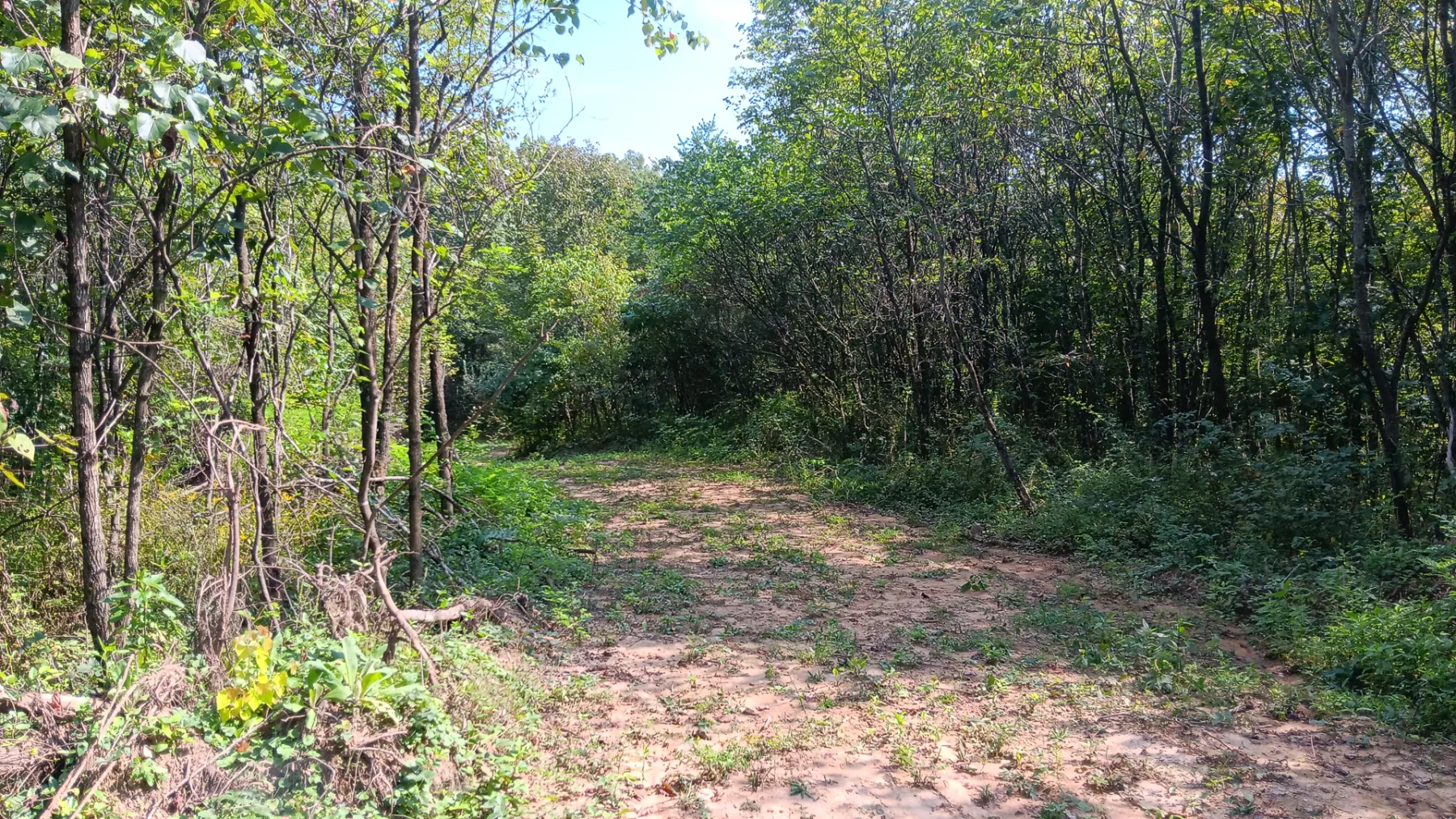 Wooded Retreat on Raccoon Creek property photo 28