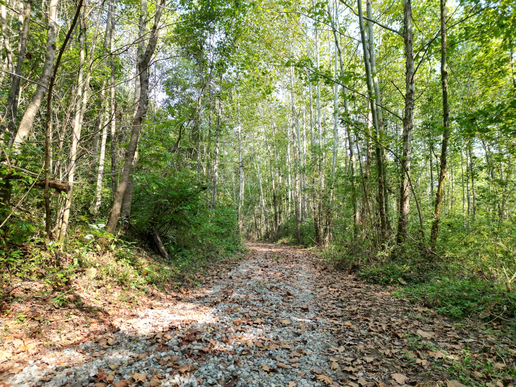 Wooded Retreat on Raccoon Creek property photo 29
